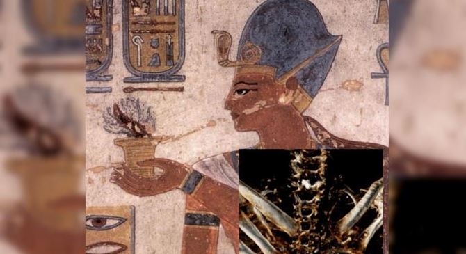 Ramses III death