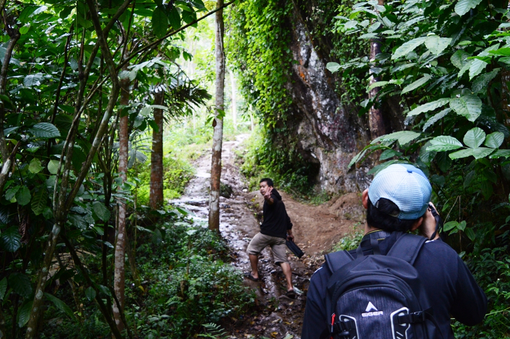 akomodasi-curug-muncar