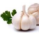 bawang