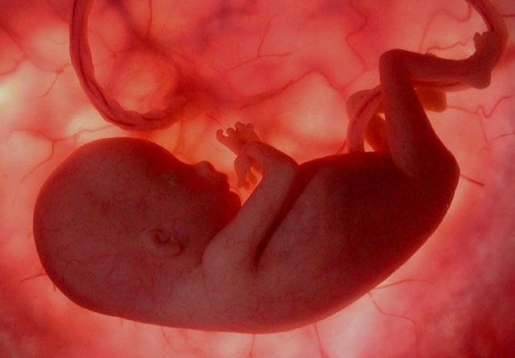 Bagaimana Bayi Dapat Bernapas di Dalam kandungan Ibu?