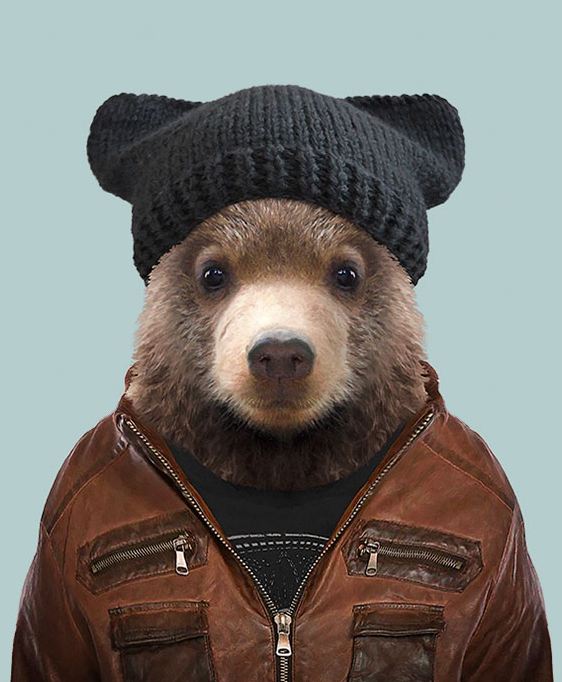 Kodiak Bear