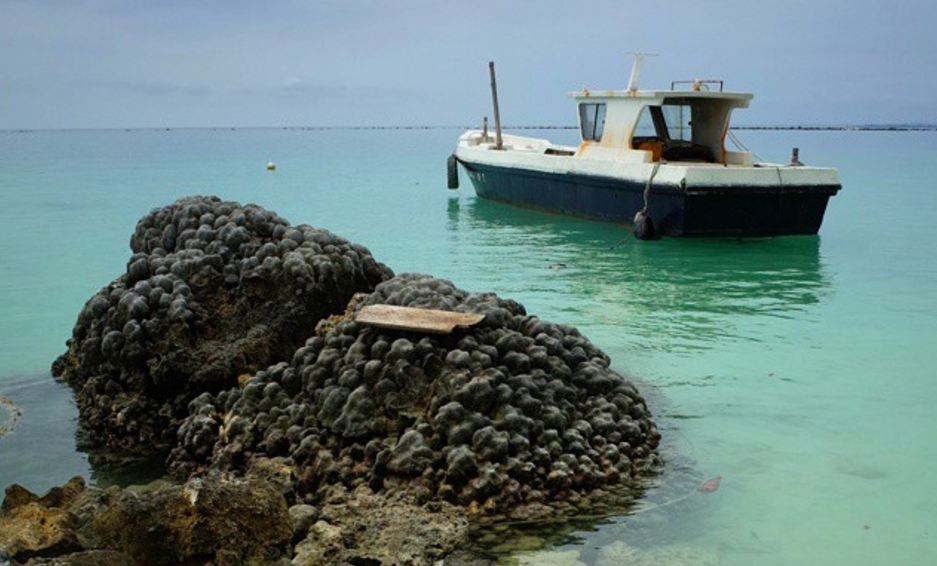 Bisa juga sewa boat atau perahu