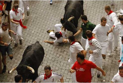 festival banteng ngamuk