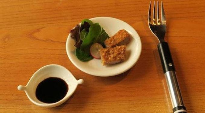 Orang Jepang Menciptakan Garpu Listrik Rasa Garam