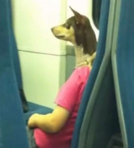 Serem!!! Manusia Berkepala Anjing