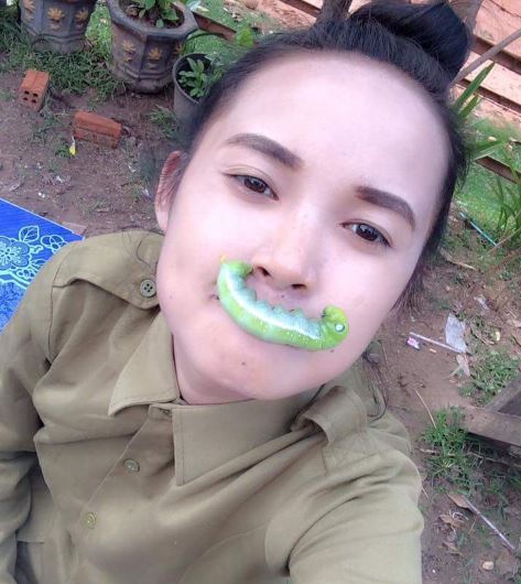 hobi main sama ulat