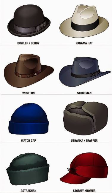 jenis jenis topi di dunia
