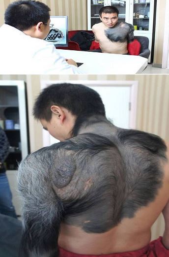 Manusia ini Mirip dengan Simpanse