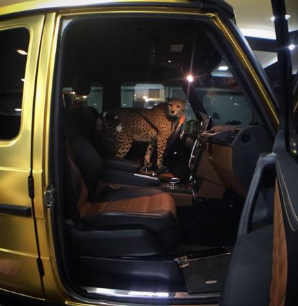 mobil lapis emas konglomerat