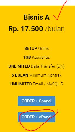pilihan hosting