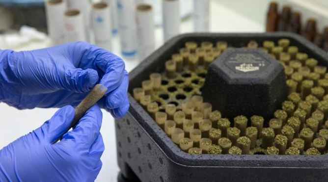 Terapi Menggunakan Rokok Ganja