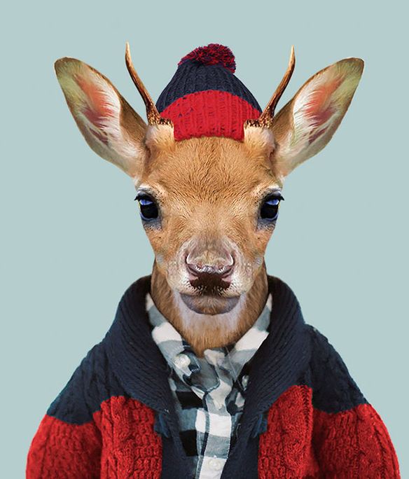White Tailed Deer (Calf)