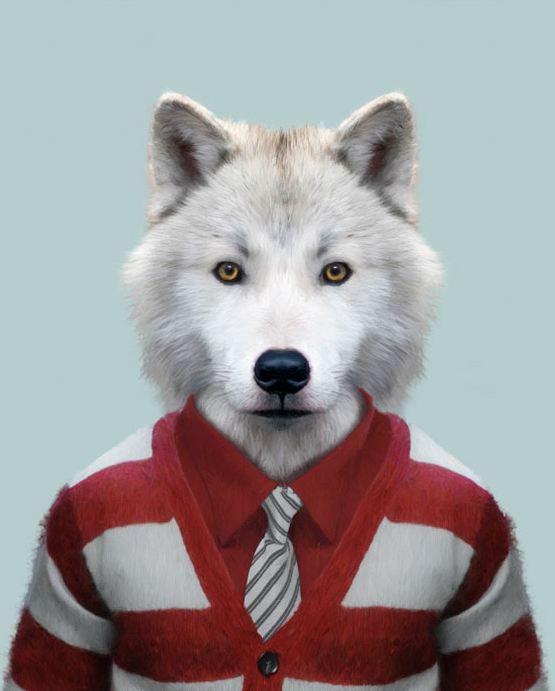Arctic Wolf