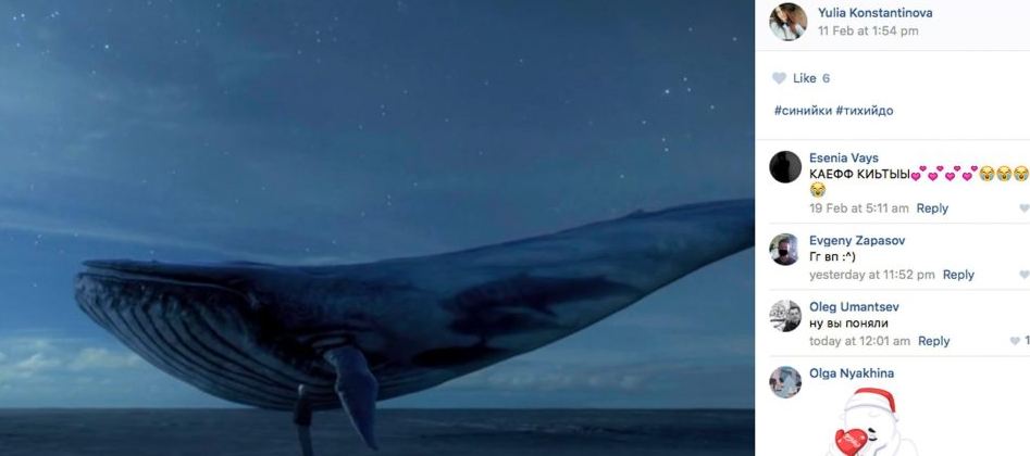 Tantangan Maut: Blue Whale suicide challenge