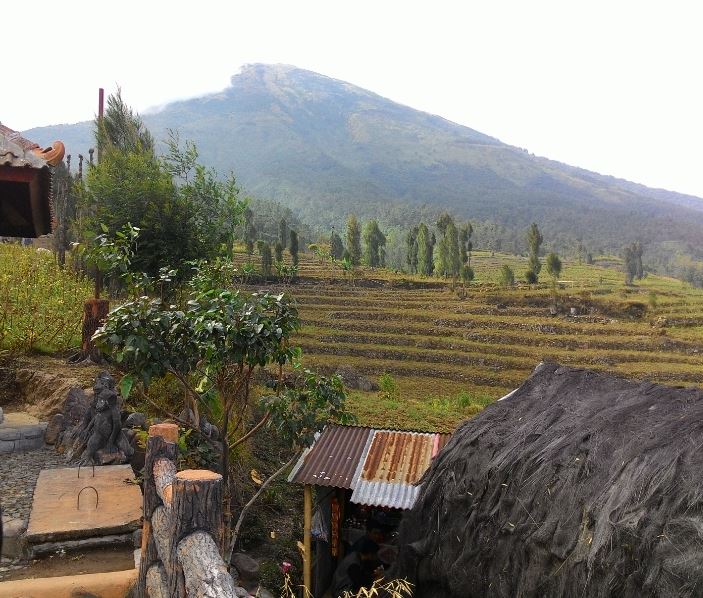 warung posong