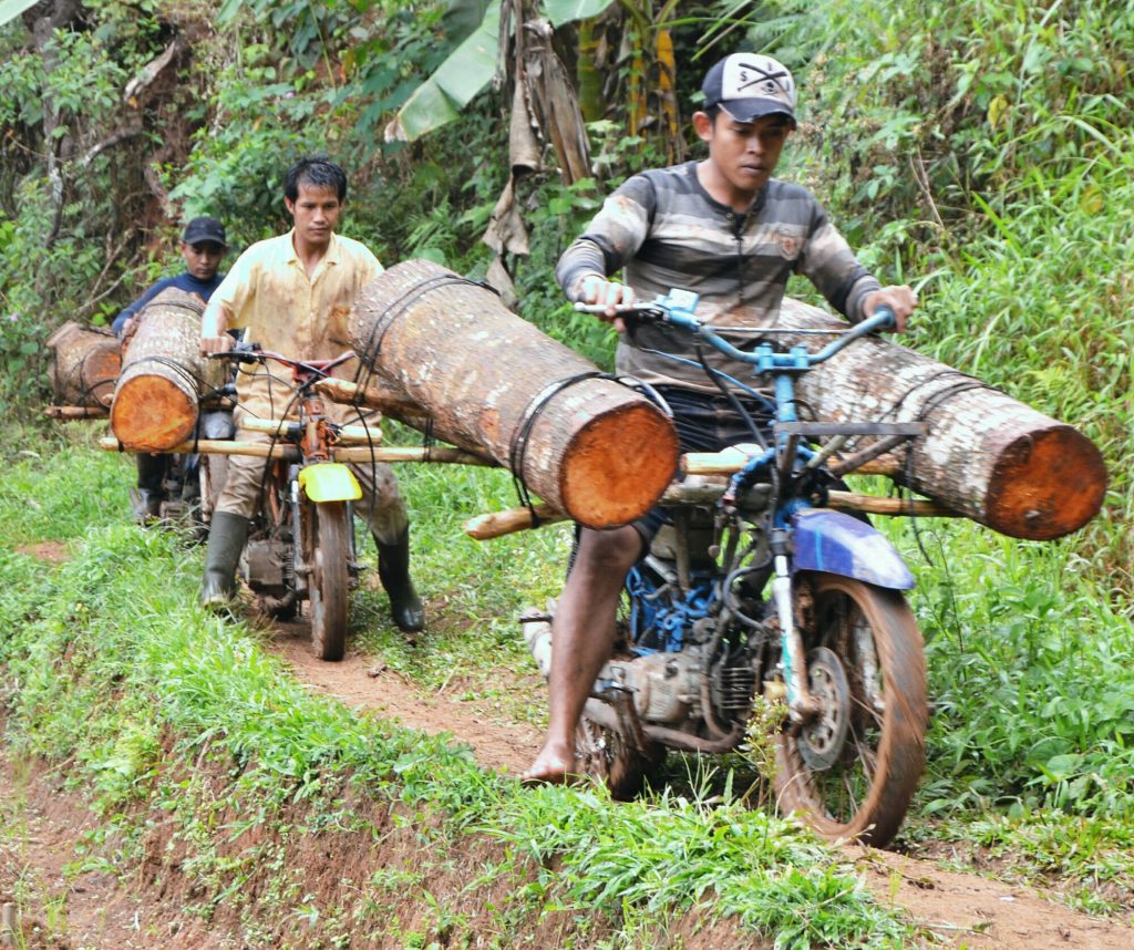 Cara Bawa Kayu Gelondongan Pakai Motor