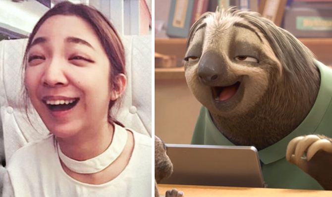 zootopia